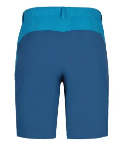 Herren Icepeak Batauia Shorts für Herren