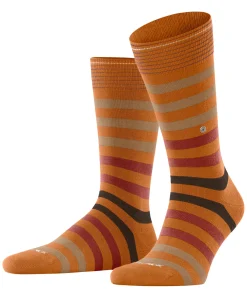 Herren Burlington Blackpool Herren Socken