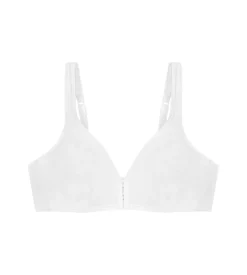 Damen Triumph Eileen N
