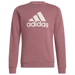 Kinder Adidas Essentials Big Logo Cotton Sweatshirt