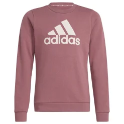 Kinder Adidas Essentials Big Logo Cotton Sweatshirt