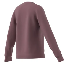 Kinder Adidas Essentials Big Logo Cotton Sweatshirt