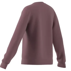 Kinder Adidas Essentials Big Logo Cotton Sweatshirt
