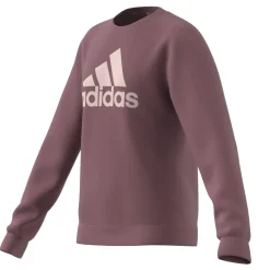 Kinder Adidas Essentials Big Logo Cotton Sweatshirt
