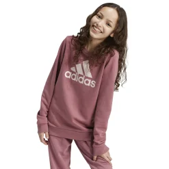 Kinder Adidas Essentials Big Logo Cotton Sweatshirt