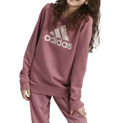 Kinder Adidas Essentials Big Logo Cotton Sweatshirt