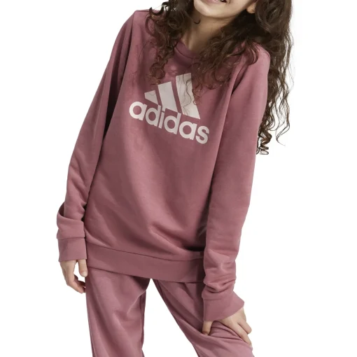 Kinder Adidas Essentials Big Logo Cotton Sweatshirt