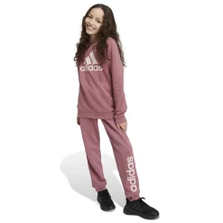 Kinder Adidas Essentials Big Logo Cotton Sweatshirt