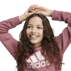 Kinder Adidas Essentials Big Logo Cotton Sweatshirt