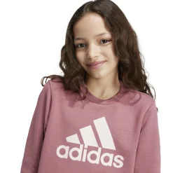Kinder Adidas Essentials Big Logo Cotton Sweatshirt
