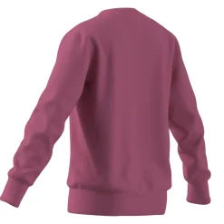 Kinder Adidas Essentials Kids Sweatshirt
