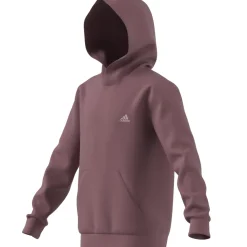 Kinder Adidas Essentials Small Logo Feel Cozy Kids Hoodie