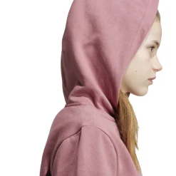 Kinder Adidas Essentials Small Logo Feel Cozy Kids Hoodie