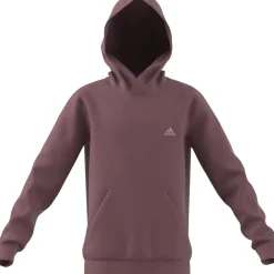 Kinder Adidas Essentials Small Logo Feel Cozy Kids Hoodie