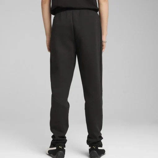 Herren Puma EVOSTRIPE Hose Herren