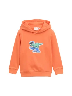 Kinder Tom Tailor Denim Hoodie Sweatshirt mit 3D-Print