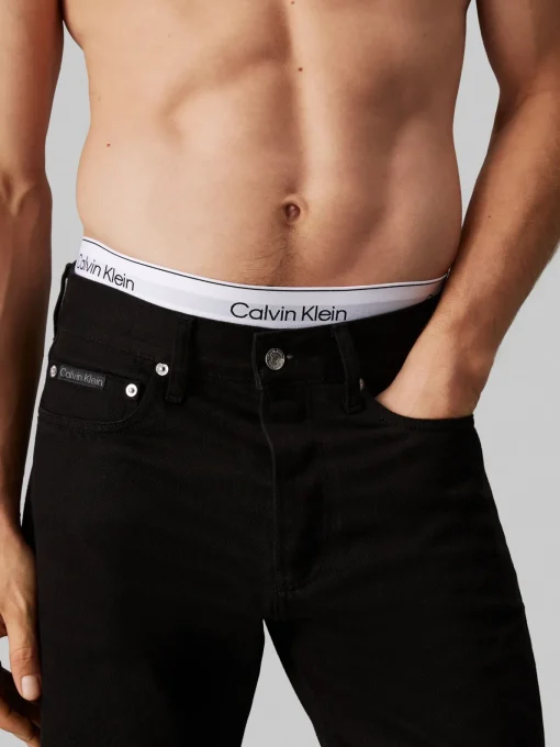Herren Calvin Klein Jeans Jeans Standard Straight