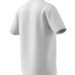 Herren Adidas Lounge Slide Graphic T-Shirt