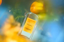Damen L'Occitane MELILOT EDP 50 ML