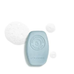 Herren L'Occitane PURE FRISCHE FESTES SHAMPOO 60G