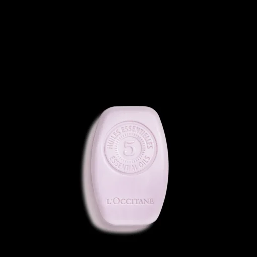 Herren L'Occitane SANFTE BALANCE FESTES SHAMPOO 60G