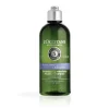 Herren L'Occitane SANFTE BALANCE SHAMPOO 300 ML