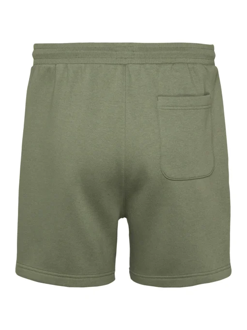 Herren Tommy Jeans Shorts mit Flag Patch