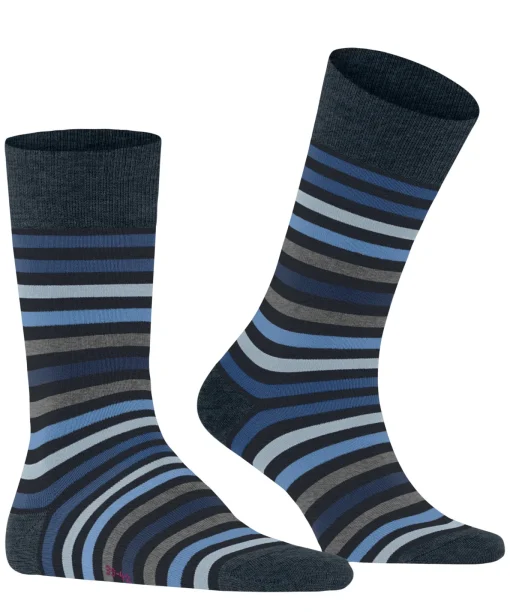Herren Falke Strümpfe Tinted Stripe SO