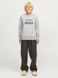 Kinder Jack&Jones Sweatshirt JCORAY COLOR
