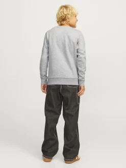 Kinder Jack&Jones Sweatshirt JCORAY COLOR