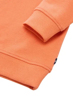 Kinder Tom Tailor Denim Sweatshirt mit Print