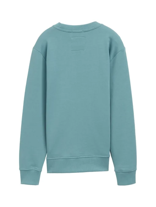 Kinder Tom Tailor Denim Sweatshirt mit Print