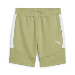 Herren Puma teamEvostripe Shorts Herren