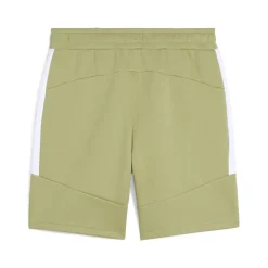 Herren Puma teamEvostripe Shorts Herren