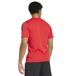 Herren Adidas Train Essentials 3-Streifen Training T-Shirt