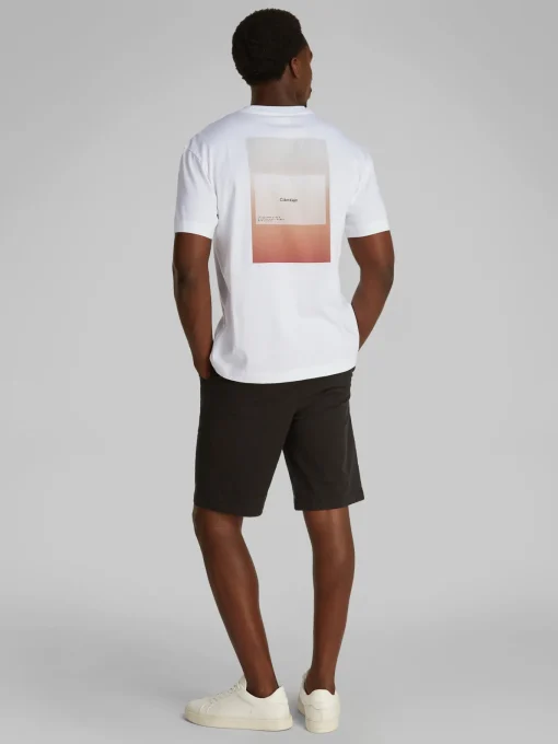 Herren Calvin Klein T-Shirt