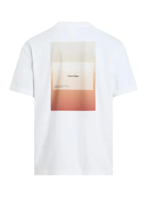 Herren Calvin Klein T-Shirt