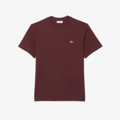 Herren Lacoste T-Shirt aus Baumwolljersey